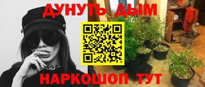 гашик Гагарин