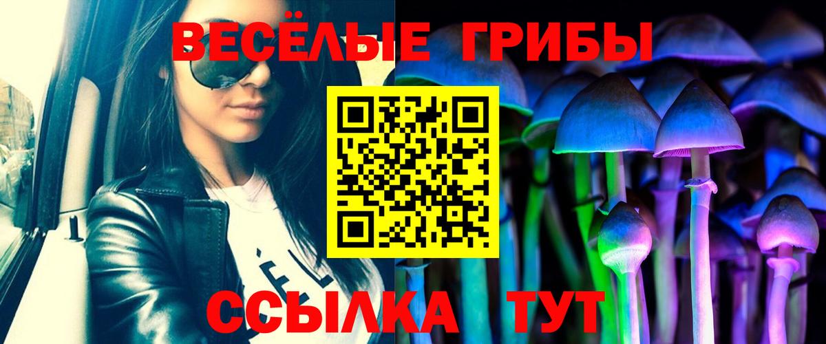 Псилоцибиновые грибы прущие грибы Урай